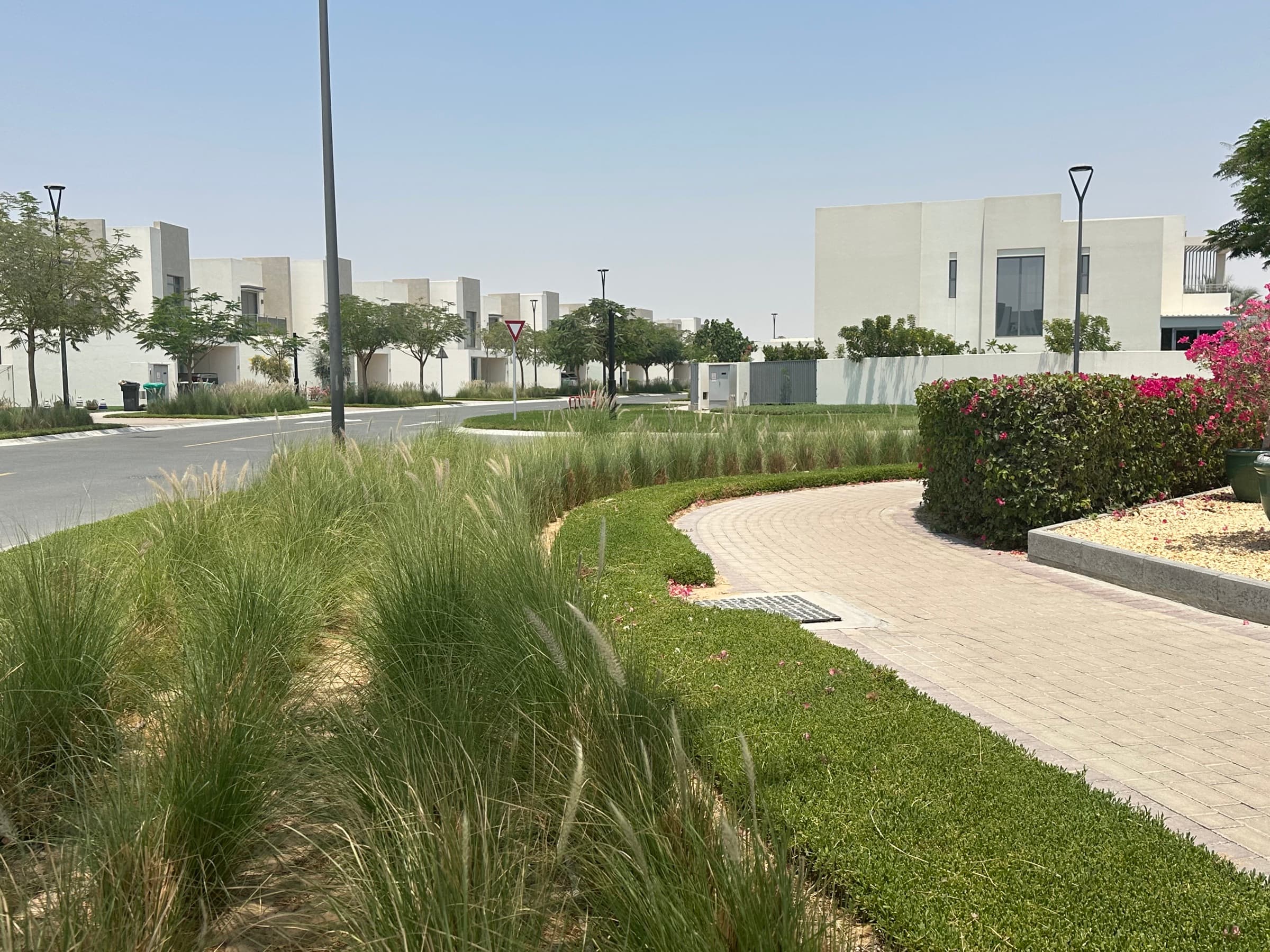 Landscaped villa streets in Emaar South