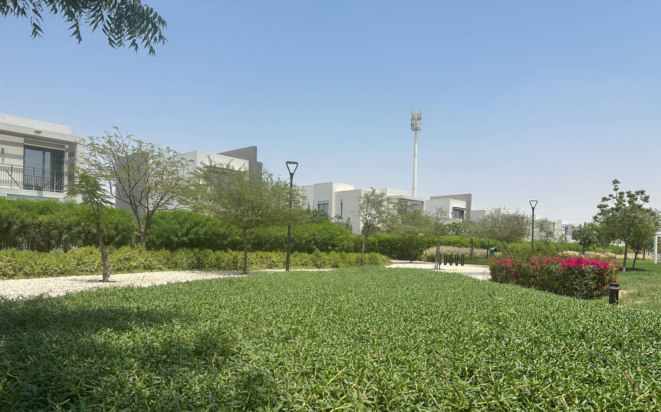 Groundcover, walking path, and modern villas in the Golf Links community park at Emaar South, Dubai South, UAE