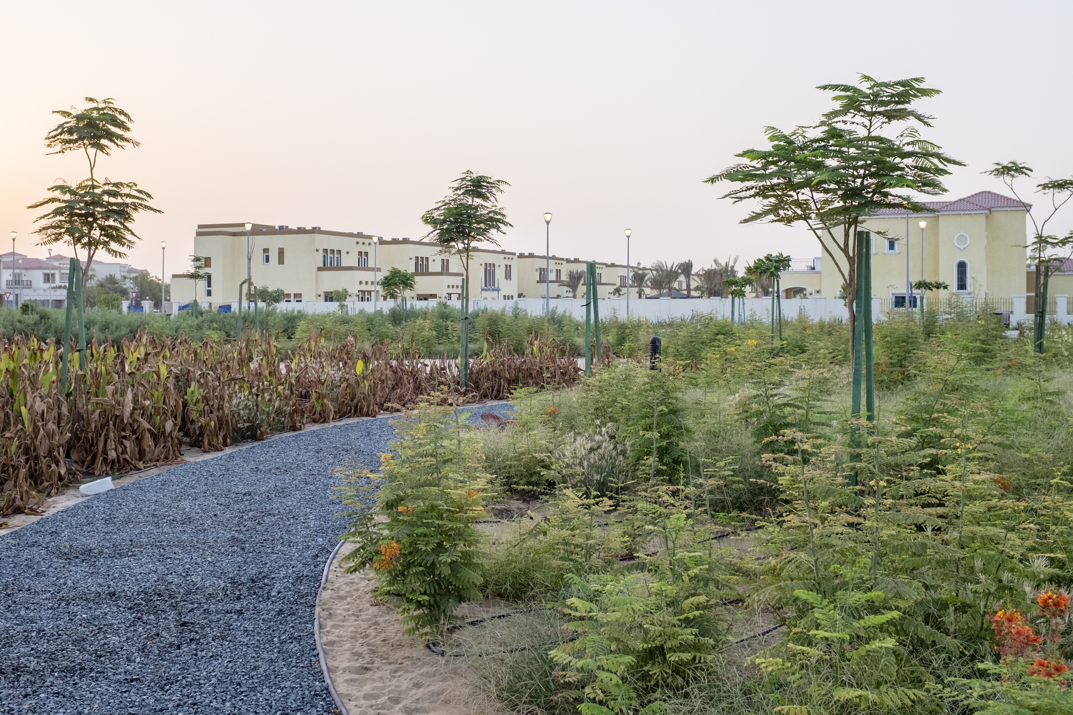 Landscaped path and villas in Al Furjan residential community, Dubai.